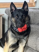 Profile Pic