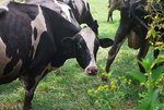 Profile Pic